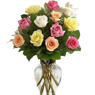 15 multi-colored roses | Flower Delivery Armavir